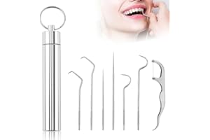 WUSAIRX Stainless Steel Toothpick Set, Reusable Portable Metal Toothpick with Holder, Multipurpose Dental Picks for Teeth Cleaning Dental Tools for Traveling Picnic Camping (7 PCS)
