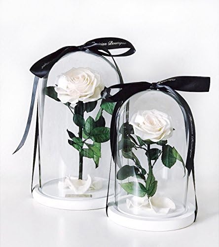 "Enchanted Rose" 100% Real Preserved Rose In Glass Dome That Will Last A Year, Beauty And The Beast Rose, Unique gift 2018, Preserved rose, Eternal rose, Mother's Day gift,