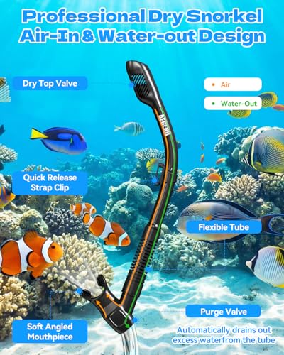 Aegend Snorkeling Gear for Adult Men Women - Snorkel Mask with Dry Top Snorkel - Anti-Fog Panoramic Wide View with Mesh Bag for Snorkeling, Swimming, Scuba Diving, Beach Vacation & Travel