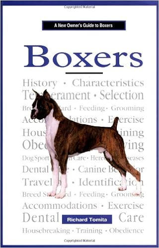 boxer guide