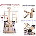 QBLEEV Parrot Playstand Perch Bird Play Stand Small Birds Play Gym Cockatiel Playground Platform Hanging Bell Swing Ladders Toys with Birdcage Food Dish Feeder Cup for Small Animals Hamsters Finchthumb 1