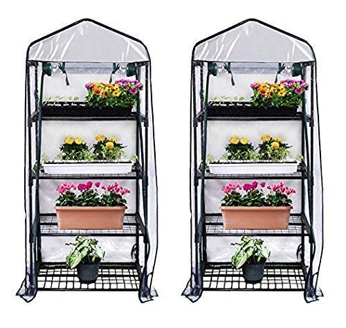 Gardman R687 4-Tier Mini Greenhouse, 27 Long x 18 Wide x 63 High (Pack of 2)