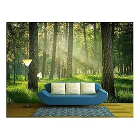 BRAND_NAMEForest Premium