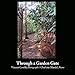 Through a Garden Gate by Vincent Covello, Charlotte Mandel