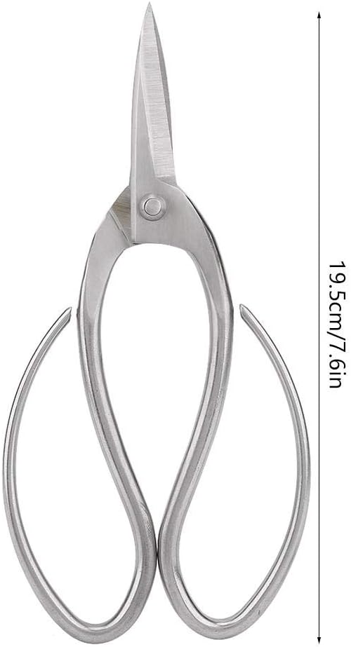 7.6 inch Stainless Steel Pruning Scissors, Garden Shears for Gardening Flower Arrangement - Image 4