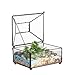 NCYP Small Glass Jewelry Trinket Storage Organizer Box with Lid for Home Decor, 4.1x5.1x3.9 Inches Vintage Black Geometric Clear Terrarium, Indoor Succulent Planter Display (NO Plants)