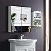 Tangkula Bathroom Medicine Cabinet, Wide Wall Mount Mirrored Cabinet with Adjustable Shelf, Bathroom Double Mirror Door Cabinet (24