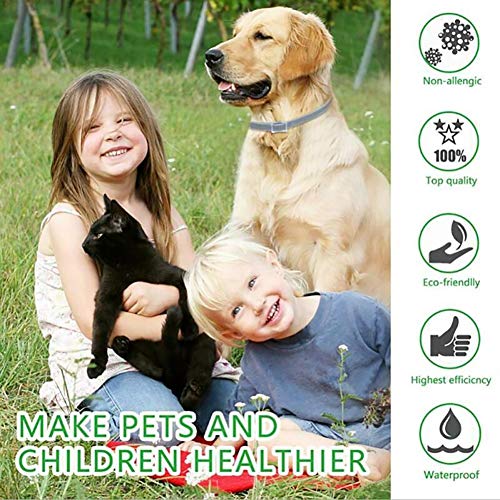 image for MIAOWU Pet Flea Lice Cleaner Comb Electronic Dog Flea Cleaning Brush P
