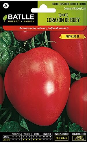 Semillas Hortícolas - Tomate Ace 55 VF - Batlle: Amazon.es: Jardín