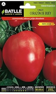 Semillas Tomate Cherry (1 Gramo): Amazon.es: Jardín