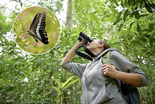 Olympus 8x42 PRO binoculars, bright, high contrast, robust, waterproof, fog-free, slim, simple design - ideal for travel, hiking, sports and nature observation even at close range – Bild 4