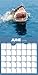 2018 Sharks Wall Calendar