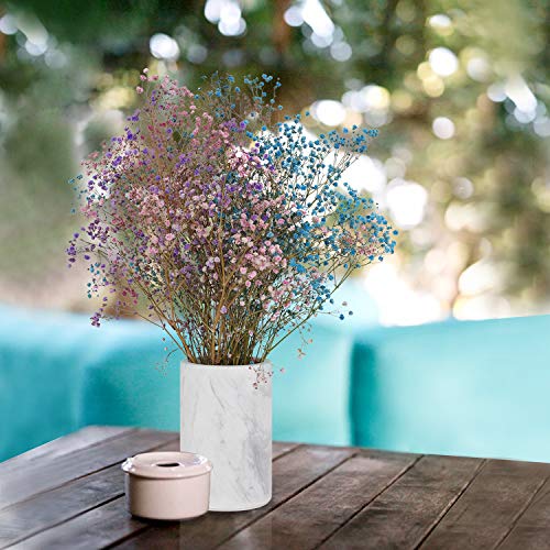 5 ChasBete+Natural+Chiller+Champagne+Decorative