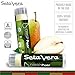 Seta Vera 6 Pack Lip Balm Organic Natural Beauty Products Chapstick Skin Care - Set - Best Treatment Moisturizer for Chapped Lips
