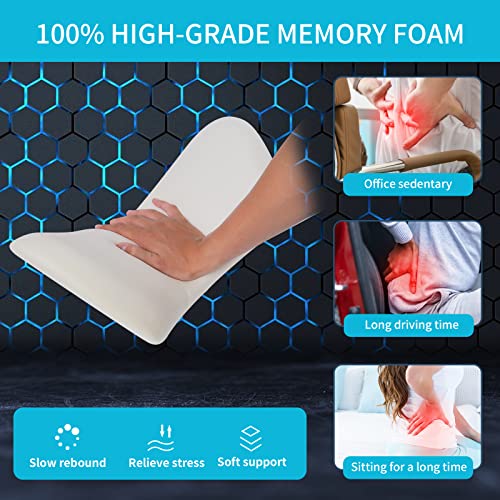 NeoCushion Lumbar Support Pillow for Office Chair,Couch,Car Seat,Recliner and Bed, Neo Cushion