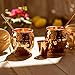 Copper Mugs Moscow Mule Set of 2 – 100% Real Pure Hammered Copper│16oz│2 Premium Drinking Copper Cups + 2 Solid Copper Straws + 2 Wooden Coasters + 1 Shot Glass & Recipe Book in the Deluxe Gift Box