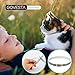 Flea and Tick Collar for Cats - Prevention and Control Fleas, Ticks and Pests for 8 Months - Hypoallergenic and Safe Design - 1 Size Fully Adjustable Waterproof Kitten Collar