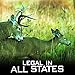 Outdoor Hunting Lab Synthetic Calming Lure for Deer Hunting | 2 oz | 2 Bottle | Whitetail Deer and Buck Scent Attractant