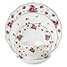 Royal Albert New Country Roses White Vintage Formal Place Setting, 5-Piece