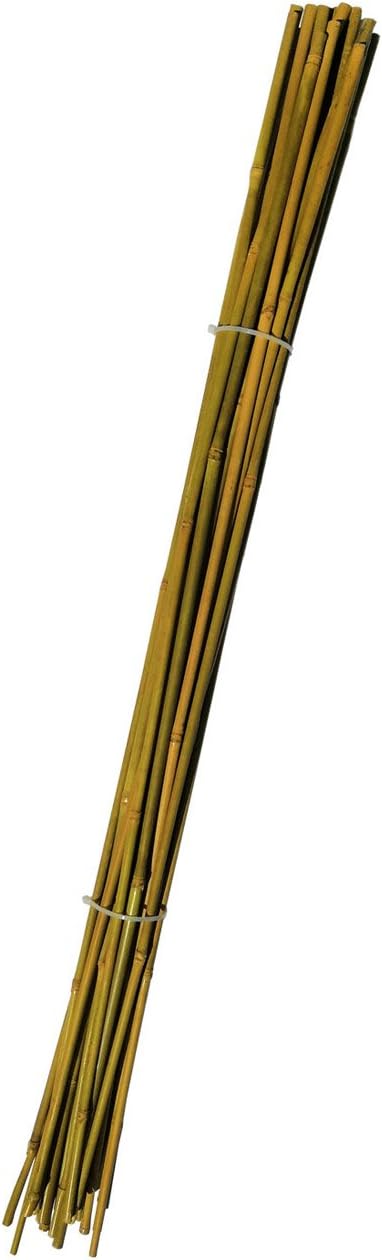 OULAY Bamboo Stakes,Natural Yellow,3 Feet, 25-Pack