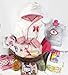 Sunshine Gift Baskets - Baby Bath Robe Gift Set with a Handy Pack (Pink)