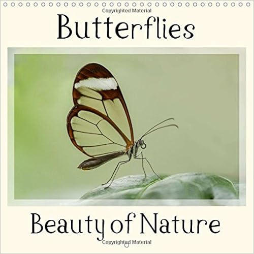 Buy Butterflies Beauty Of Nature 17 The Beautiful Colours Of Butterflies Calvendo Animals Book Online At Low Prices In India Butterflies Beauty Of Nature 17 The Beautiful Colours Of Butterflies Calvendo