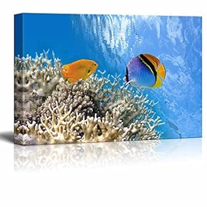 Tropical Fish On Coral Reef Under Sun - Canvas Art