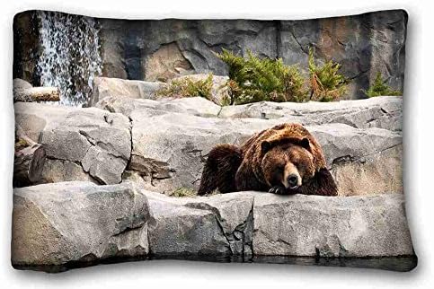 Generic Personalized ( Bears Animal Bear ) Popular 20x30 inch One Side Pizza Rectangle Pillowcase suitable for Full-bed PC-Green-34336