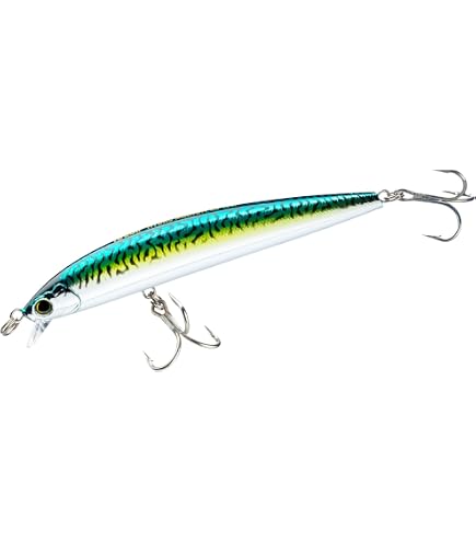 Amazon.com: Yo-Zuri F1157 HHAY 3DS Minnow (SP) 100MM 4