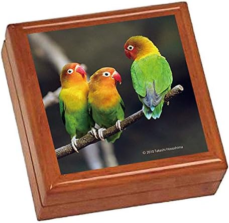 Amazon ルリゴシボタンインコの写真タイル付き小物入れ Jewelry Box 世界の野鳥シリーズ インテリア オンライン通販