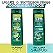 Garnier Hair Care Fructis Grow Strong Cooling Deep Clean Shampoo for Men for Invigorated Hair, 12.5 Fl Oz