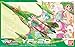 Bandai 1/100 Scale Macross Frontier YF-29 Durandal Valkyrie Unit Fighter Mode Ranka Construction Kit [JAPAN]