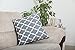 TreeWool Trellis Accent Spring Summer 20x20 Set of 2 Decorative Throw Pillow Covers 100% Cotton Home Decor Pillowcases for Sofa Couch (Graphite Gray)