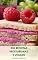Livro 500 Receitas Vegetarianas E Vegano : Livro De Receitas Veganas - Receitas Vegetarianas - Aperitivos, Molhos, Café Da Manhã, Almoço, Sopas, Jantar, Macarrão, Sobremesa, Smoothie, Queijo