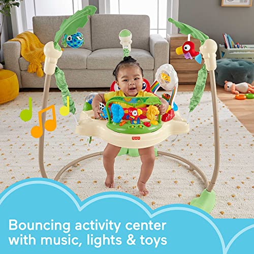 FisherPrice Jumperoo Baby Activity Center With Lights Sounds And Music
