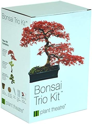 Plant Theatre Bonsai Trio Kit
