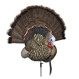 Avian-X Trophy Tom Turkey Decoy