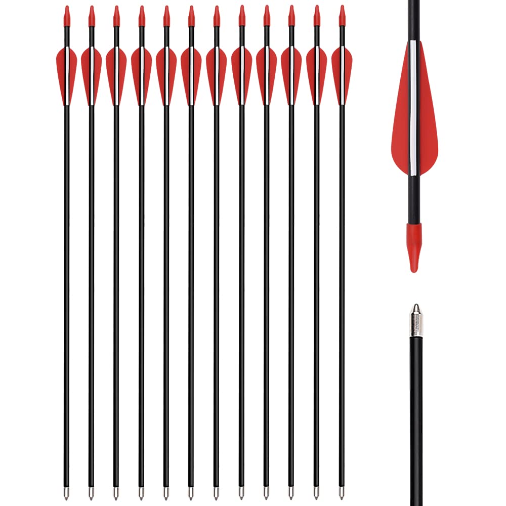 Arrows Fiberglass 28 30 32 Inch Archery Recurve Bow Target Arrows Practice for Beginners Outdoor 6/12pcs