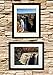 Tasse Verre 11x14 Picture Frame (2-Pack) - HIGH Definition Glass Front Cover - Displays 11 by 14