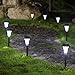 Twinkle Star Solar Path Lights Solar Garden Lights Outdoor LED Solar Landscape Lights Outdoor Garden Lights (8 Pack)