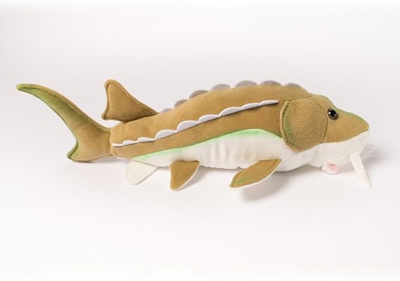 sturgeon stuffed animal