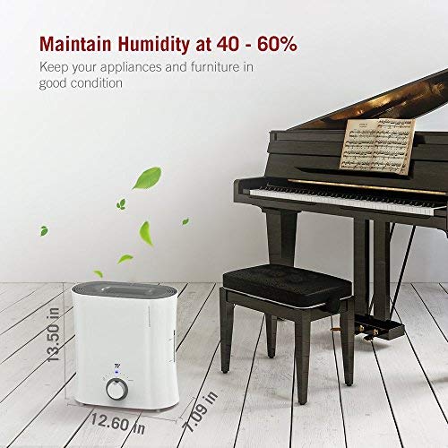 TaoTronics Evaporative Humidifier for Guitar Room, Top Fill Humidifiers