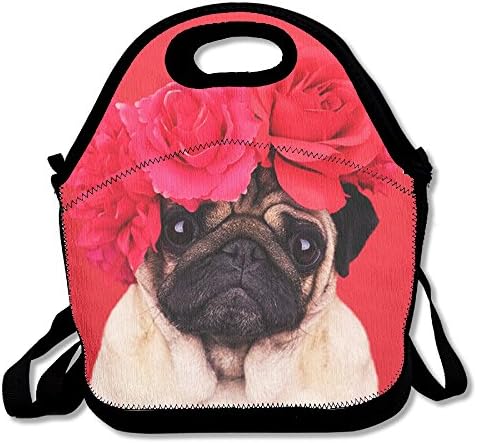 Lightweight Funny Dog Insulation Lunch Bag Gourmet Warm Bag Handbag Outdoor Travel Picnic Lunch Box Bag Work For School Office Or Outdoor Picnic