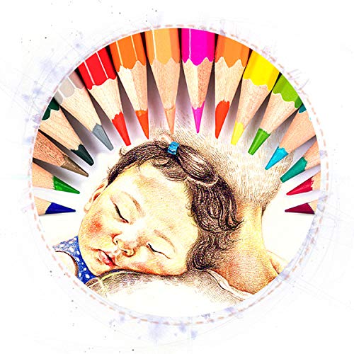 MEMX Colored Pencils Set, Presharpened - Colored Pencils for Adults and for Kids - Color Pencils For Artists With Cardboard Case - Professional Coloring Pencils for Adult Coloring Book, 24 Count