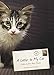 A Letter to My Cat: Notes to Our Best Friends