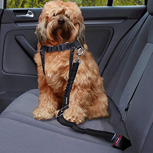 2PCS All Metal Buckle Dog Cat Seat Belt,Dual Use Leash,Reflective Strip,Elastic Buffer Protection,Durable Nylon Safety Belt