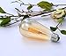 ZYCYLIGHT Led Edison Bulbs,Dimmable 8w Led Bulbs, ST64(ST21) Vintage Edison Antique LED Light Bulbs, 750 Lumens, 2700K Warm White, E26 Led Light Bulbs, Amber Glass Cover,6 Pack