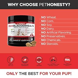 PetHonesty Cranberry for Dogs - Bladder Support - Dog UTI Treatment