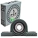 PGN - UCP202-10 Pillow Block Mounted Ball Bearing - 5/8