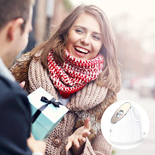 image for Duomishu Facial Steamer - 100ml Nano Ionic Warm Mist Face Spa Humidifi